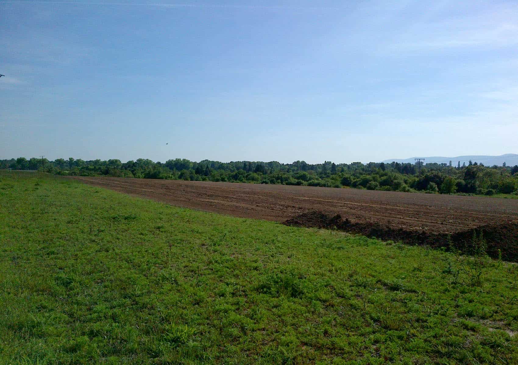 Solarpark Hassloch vor Baubeginn