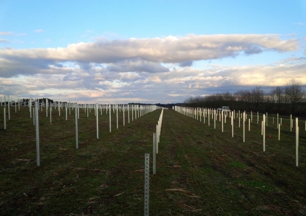 Solarpark Dinkelsbühl Bayern