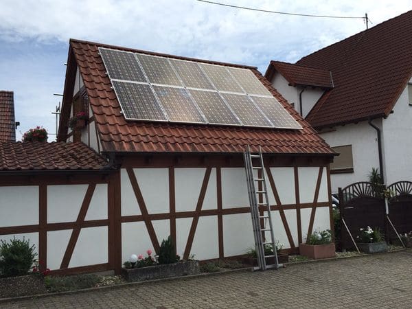 Freckenfeld