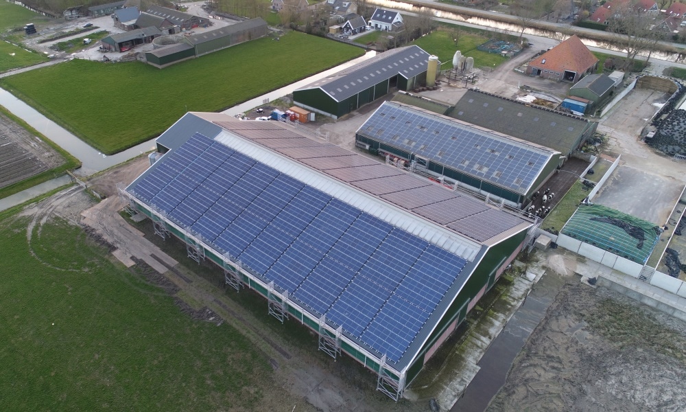PFALZSOLAR PV-Anlage Burgerbrug NL