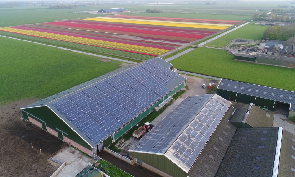 PV-Anlage Burgerbrug NL