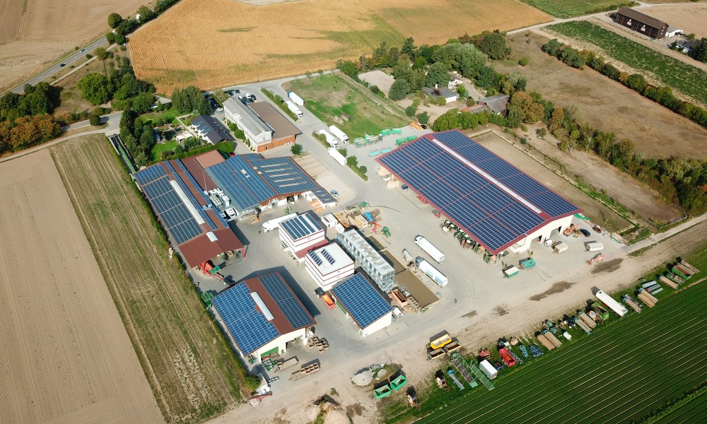 Photovoltaik Anlage in Reilingen Gemüsebau Großhans