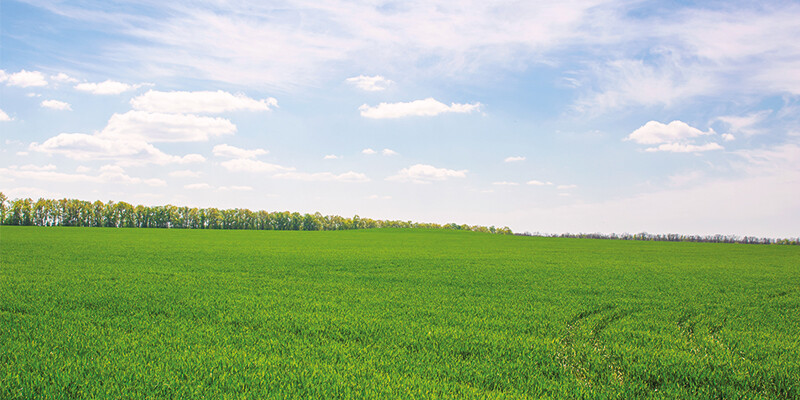psg_kriterien_gruenflaeche