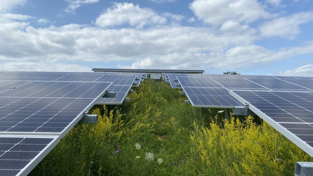 Solarpark auf Wiese